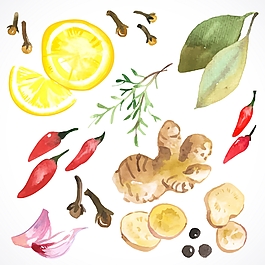 調(diào)味品食材