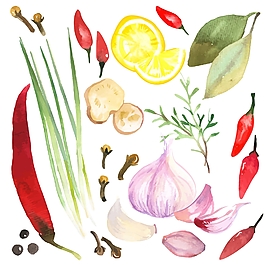 食材調(diào)味品