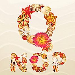 貝殼與字體素材