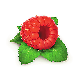 樹葉與樹莓