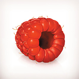 紅色樹莓