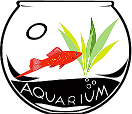魚缸中的紅魚