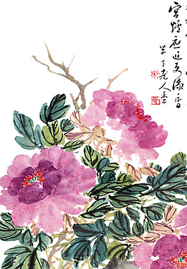 牡丹花