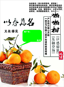 啪啪柑海報