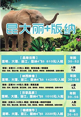 昆大麗旅游