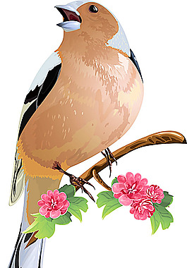 鮮花與小鳥(niǎo)設(shè)計(jì)