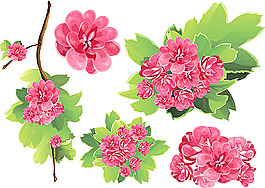 矢量鮮花設(shè)計