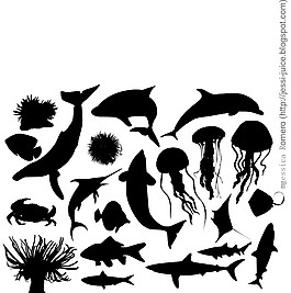 海洋生物