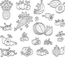 白描水果