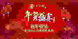 2016新年年货盛宴banner