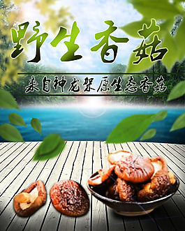 野生香菇