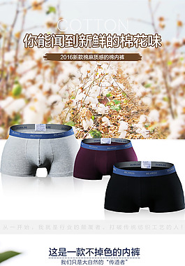 內褲詳情
