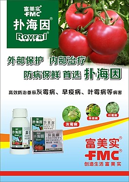 扑海因企业宣传海报