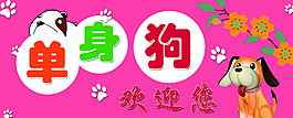寵物招牌  寵物圖片
