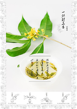 一抹桂花香