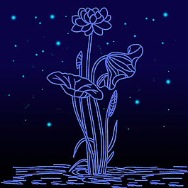 蓝色星空 荷花