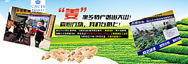 姜banner
