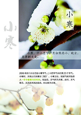 二十四节气之小寒