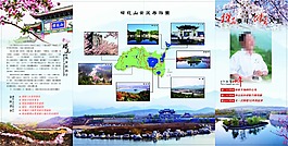 旅游折頁