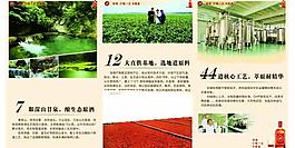 綠色環保三折頁圖片