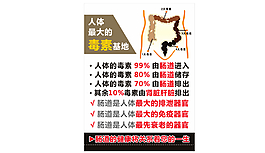 腸道排毒海報