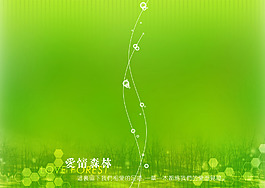 愛情森林