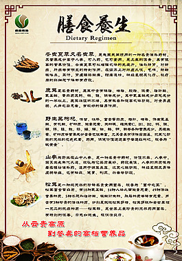 膳食養生