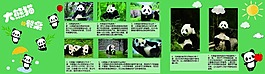 大熊貓海報(bào)設(shè)計(jì)