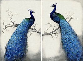 美麗孔雀壁畫