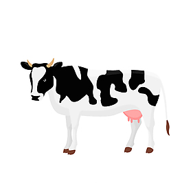 黑白花紋奶牛