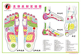 手部反射區掛圖psd素材