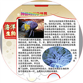 海洋生物