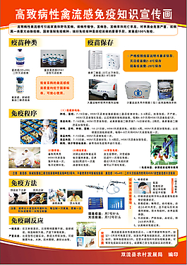 高致病性禽流感免疫知識(shí)宣傳畫(huà)