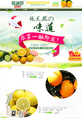 新埔園水果 贛南臍橙 善融商務(wù) 首頁(yè)設(shè)置