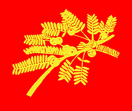 中药余甘子