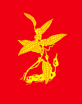 中藥茯苓