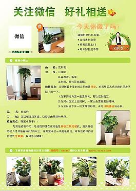 园艺宣传单页反面