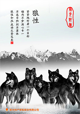 狼性文化 團(tuán)隊(duì)建設(shè)設(shè)計(jì)