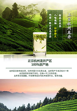 龍井茶葉詳情頁模板
