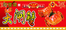 大閘蟹 陽澄湖大閘蟹