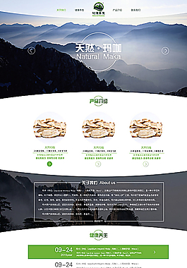 养生保健品首页设计图片