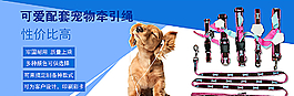 寵物用品輪播圖片