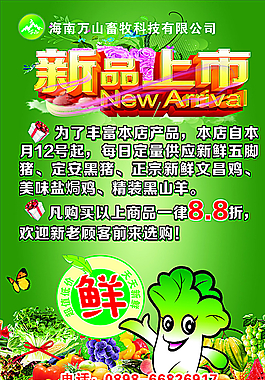 新品上市圖片