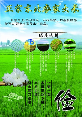 綠色海報