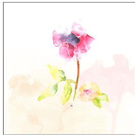 小清新花卉壁紙圖片
