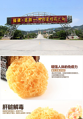 食用菌