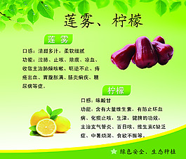 蓮霧檸檬介紹