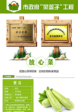 蔬菜详情页 茭瓜 西葫芦