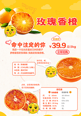 橙子 專題活動(dòng)