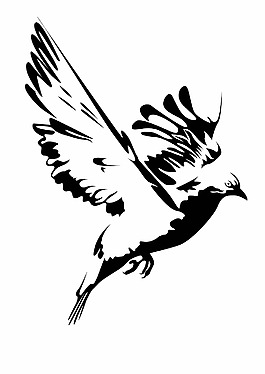 黑白水墨鳥